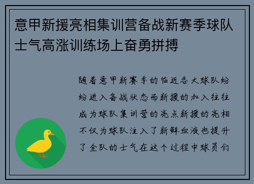 意甲新援亮相集训营备战新赛季球队士气高涨训练场上奋勇拼搏