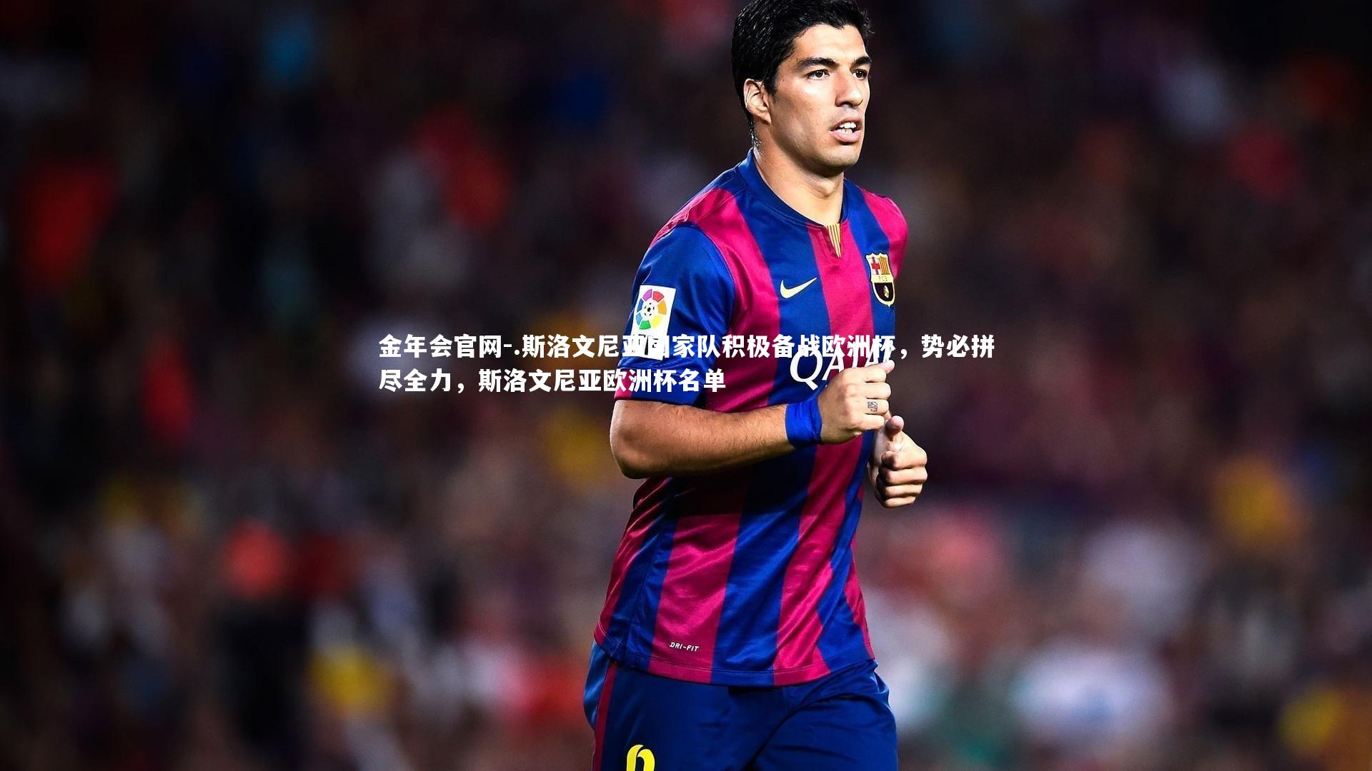 .斯洛文尼亚国家队积极备战欧洲杯，势必拼尽全力，斯洛文尼亚欧洲杯名单