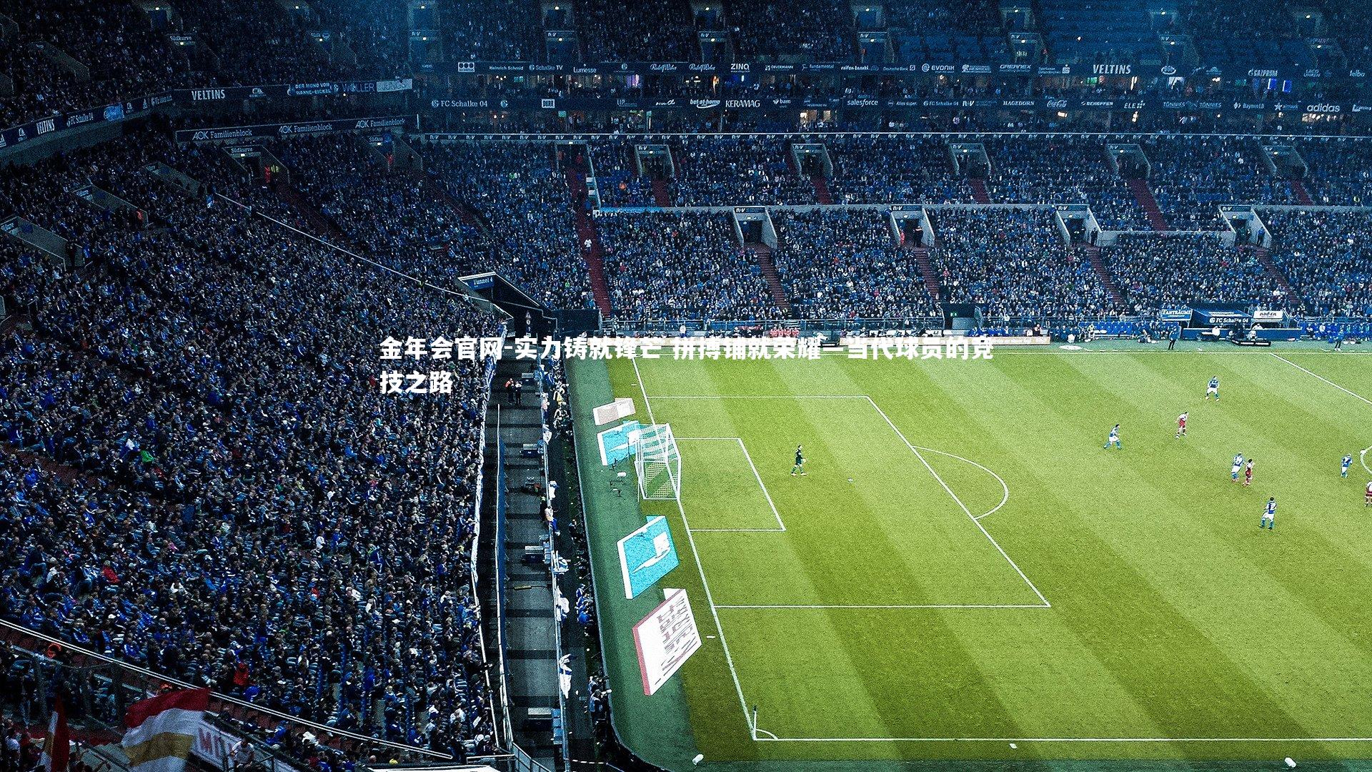 实力铸就锋芒 拼搏铺就荣耀—当代球员的竞技之路